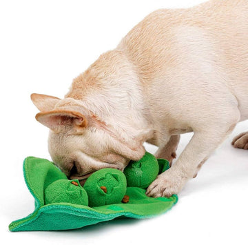 Unlock the Play Potential: How to Get the Most Out of Your Peas of Mind 🫛