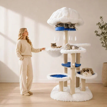 When Ordinary Cat Trees Feel Too Small: Meet Purr Nook’s Maine Coon Kingdom
