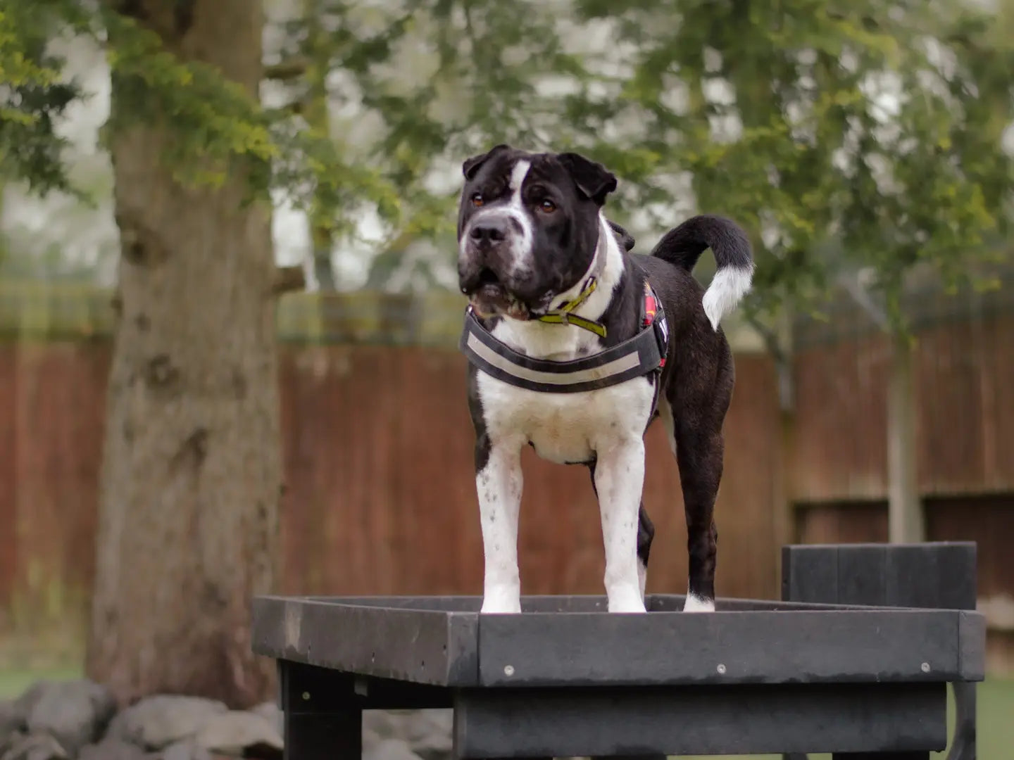 🖤 For This Black Friday, We Sponsored Zeus