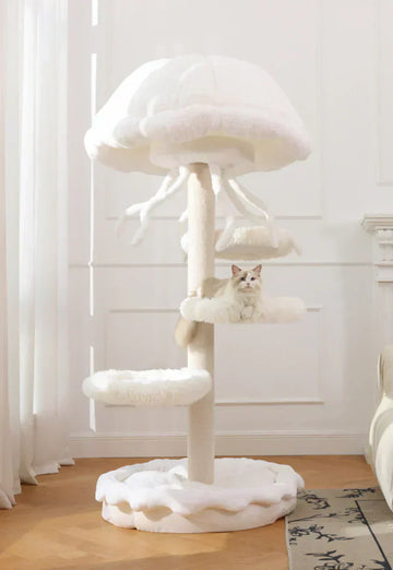The Jellyfish Effect: How Purr Nook Is Reimagining Cat Furniture