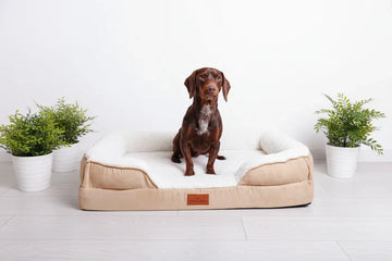 The Science Behind Orthopaedic Dog Beds — and Why We Chose Snug n Woof