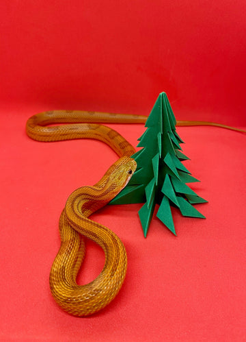 Climbing Higher: A DIY Activity Tree for Arboreal Reptiles