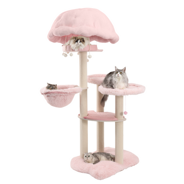 Purr Nook | Maine Coon Kingdom Royal Manor - Lovely Pink