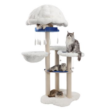 Purr Nook | Maine Coon Kingdom Royal Manor - Cloud