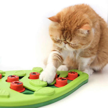 174361011567ed6103eacda209286