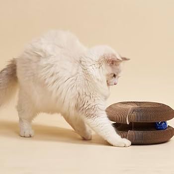 175537837568a0f2c74fe491991517