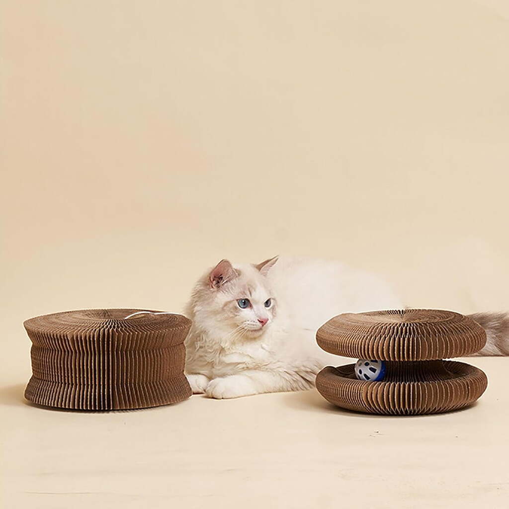 175537837568a0f2c76b6ba3989442