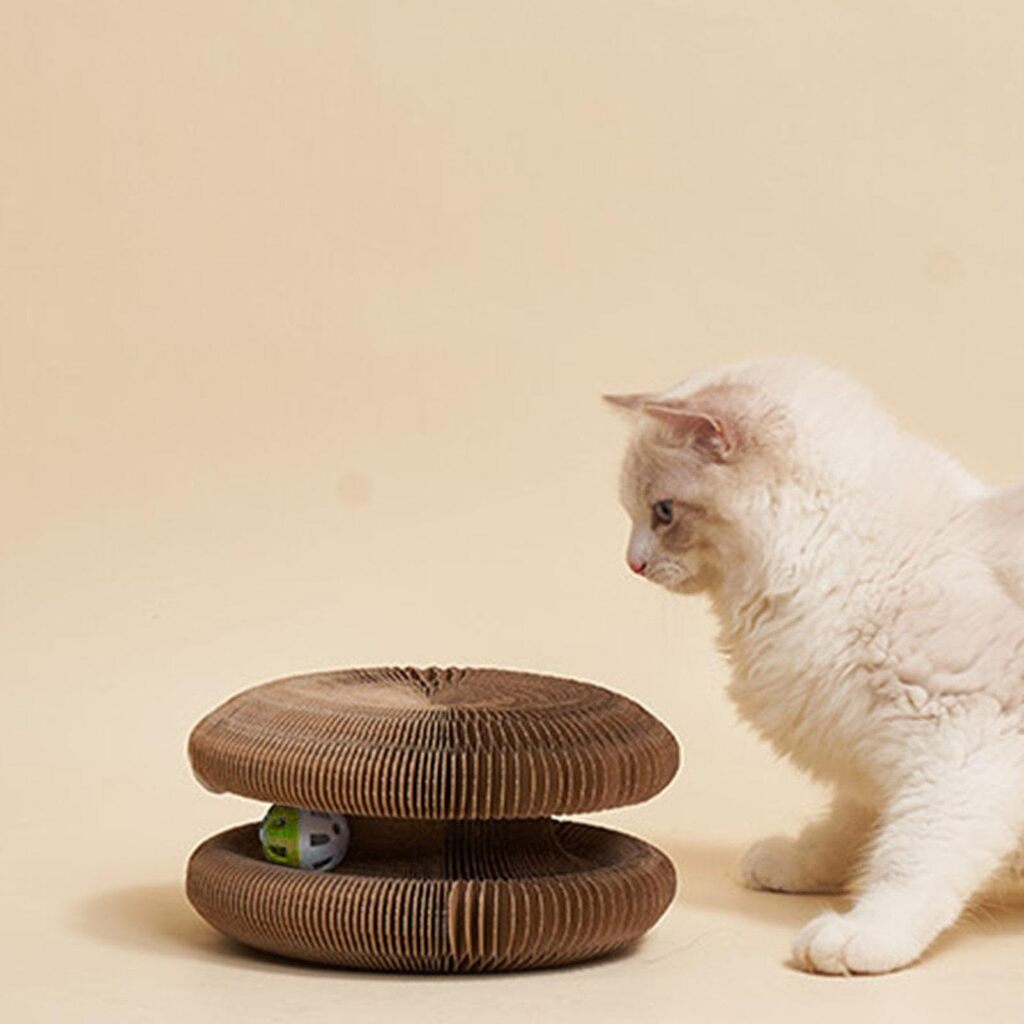 175562718568a4beb163d7c5244965