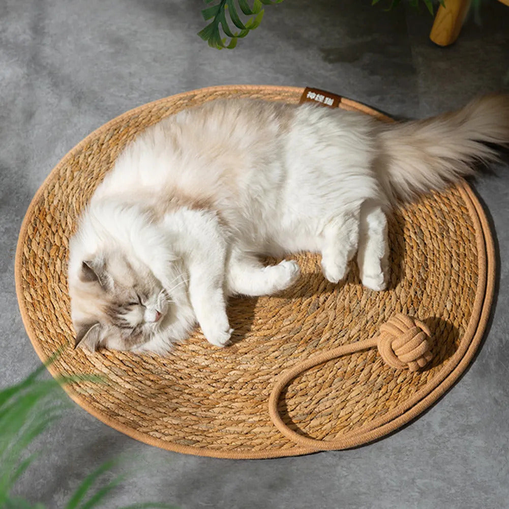 175969745668e2da30b0f669340895