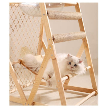 176009061968e8d9fb438c76056927