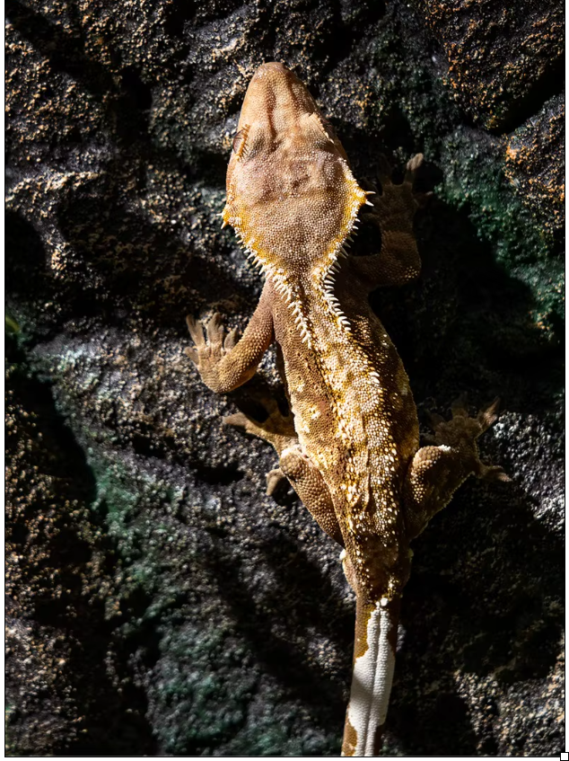 176081308468f3e01c3f6543897681