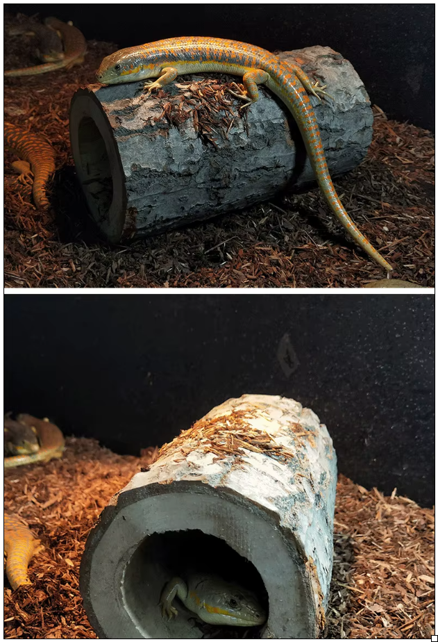 176123337868fa49e2337868121375