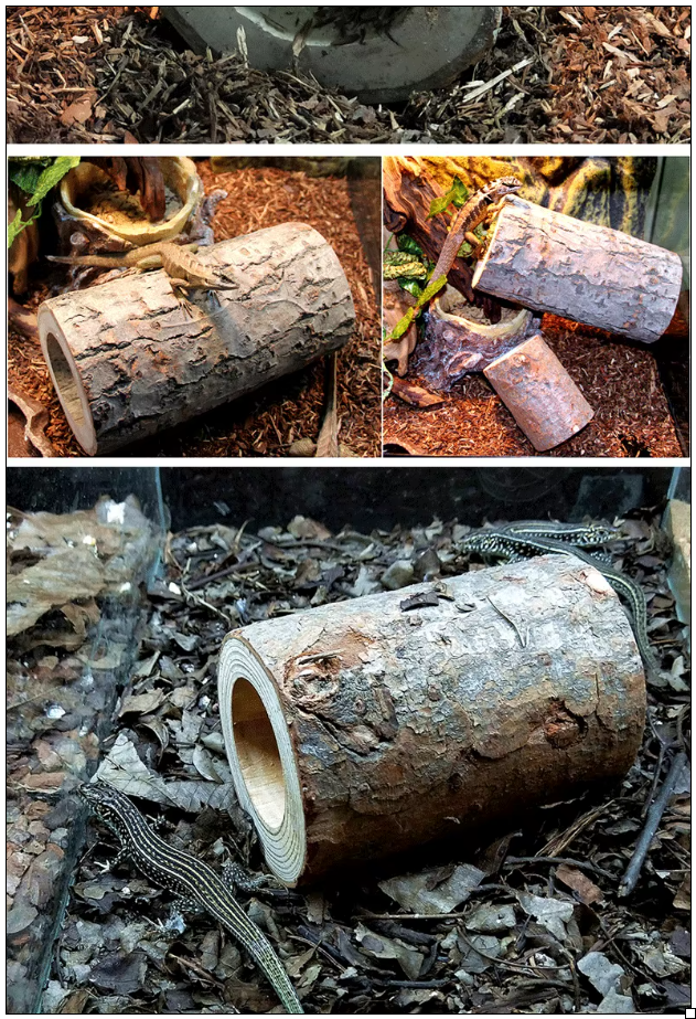 176123401168fa4c5bef342714446