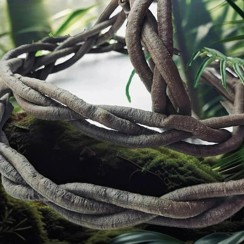 176129694968fb423571afa697892