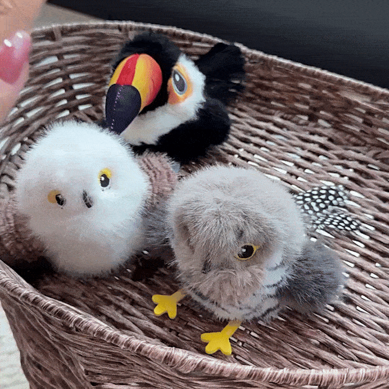 176164799069009d765d22a5767747