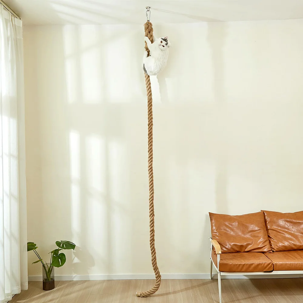 176167615569010b7b2ed112465659