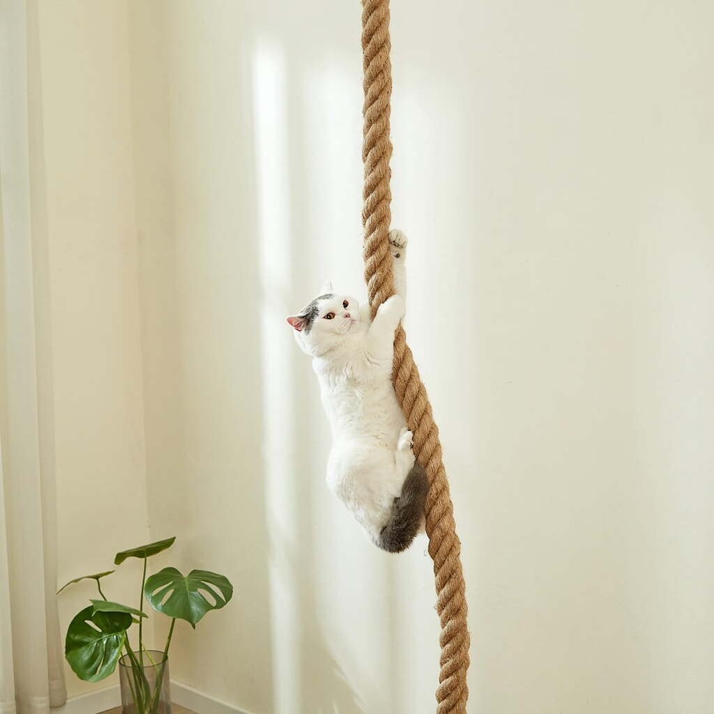 176167615569010b7b395e91321866