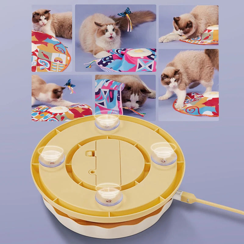 17617304406901df888384d9028769