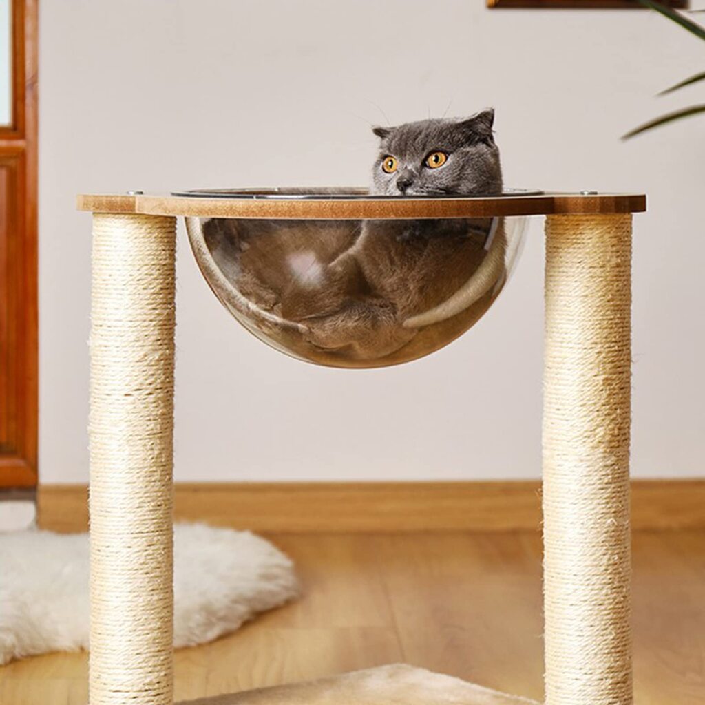 17619090826904995a9ad628212979