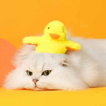 1762029793690670e1d8ac48312386