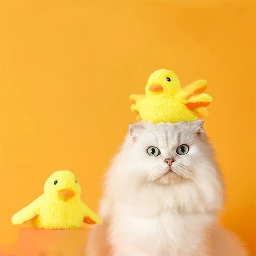 1762029794690670e2095095311750