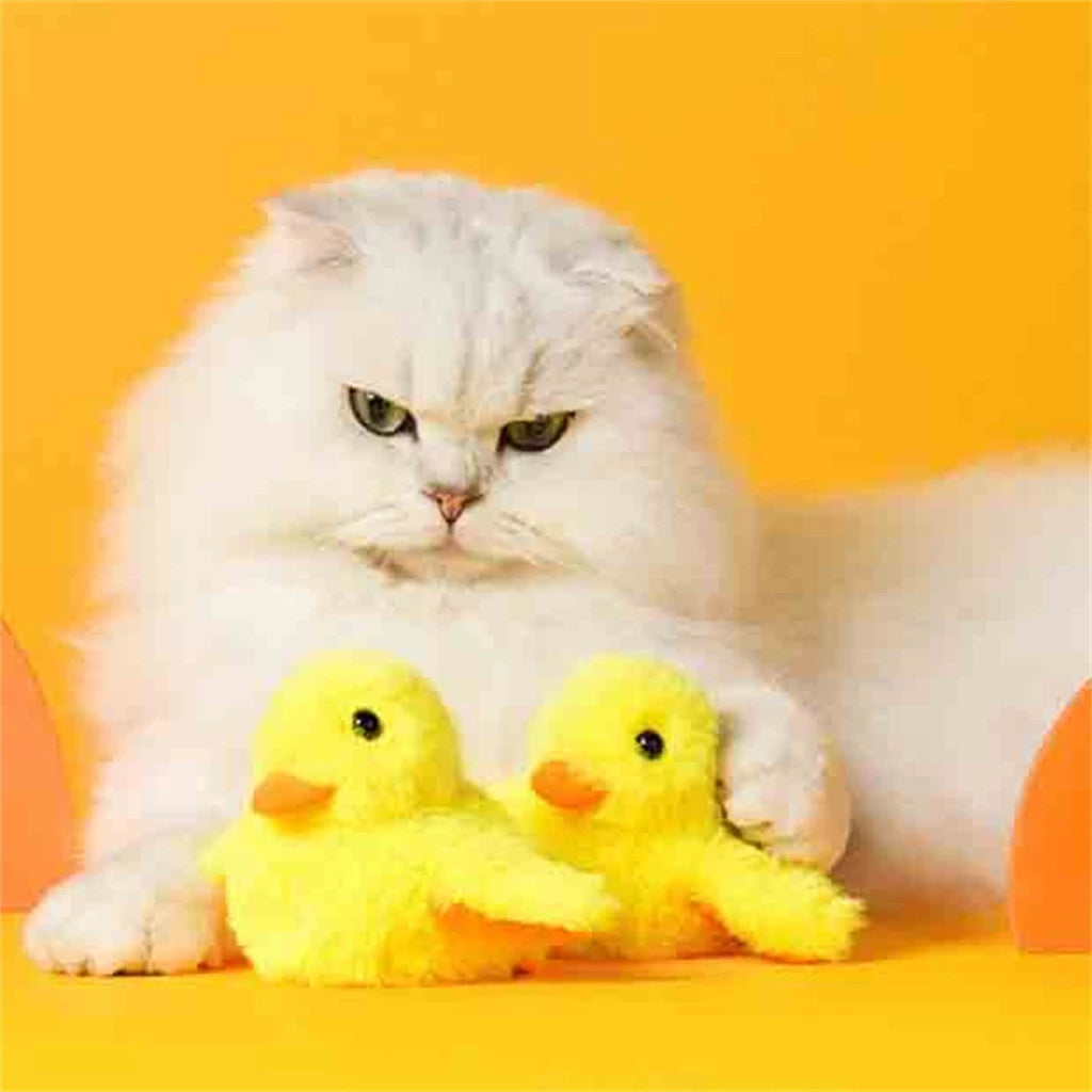 1762029794690670e2661db795297