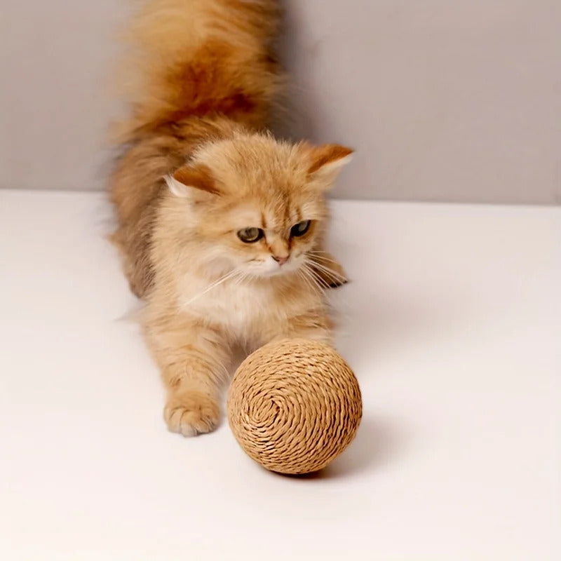 176843565169682fc3ddd4e8307568