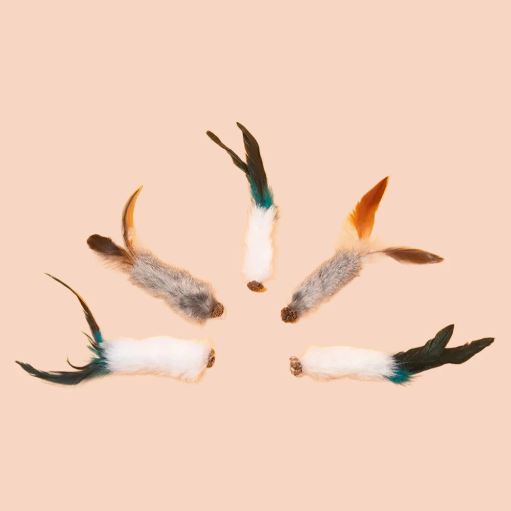 1768739088696cd110028e82916108