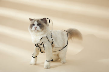 Over Glam | Transparent Rain Coat