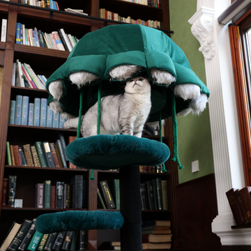 Purr Nook | Octopus Jellyfish Cat Tree