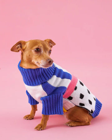 Cloomps | Pitaya Jumper