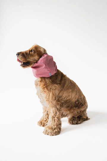 Lou & Co | Summer Red Cherry Dog Snood