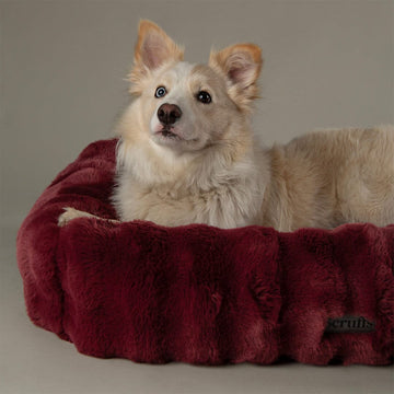 Scruffs | Festive Fur Box Dog Bed