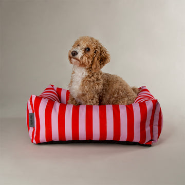 Scruffs | Amalfi Striped Box Bed