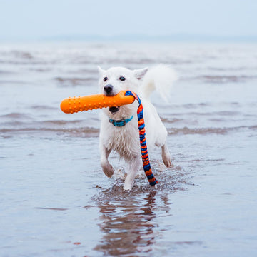 Tug-E-Nuff | BOB 3-in-1 Dog Dummy