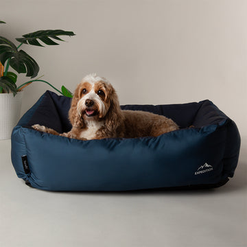 Scruffs | Expedition Water Resistant Box Bed