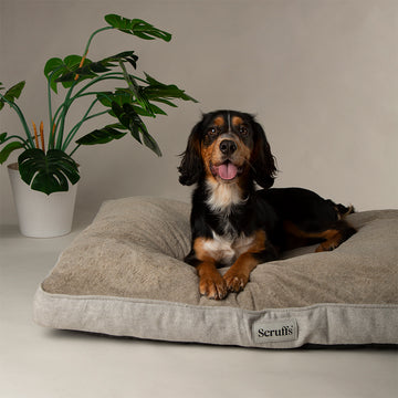 Scruffs | Harvard Memory Foam Mattress