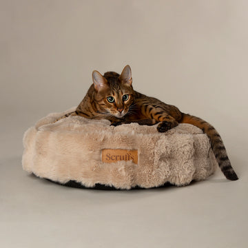 Scruffs | Alpine Cat Bed - Champagne