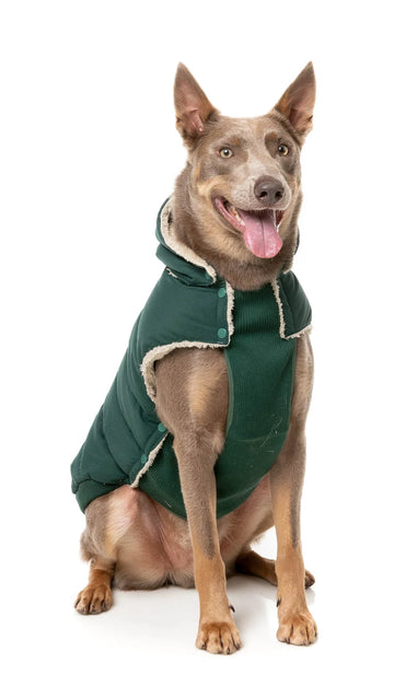 FuzzYard | Essential Puffer Jacket - Forrest Green