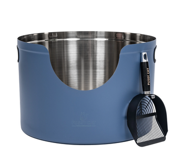 Fussy Cat | The Blue Litter Box