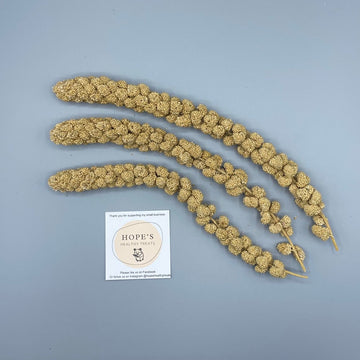 Hope's Healthy Treats | Millet Sprays