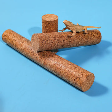 S022fc084a7b54738a26d51e06525ba88P