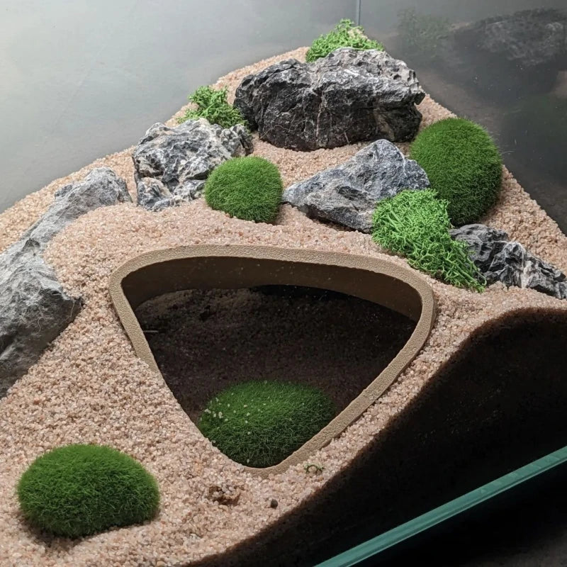 S05bef847f9f34fb09adc9bc502425eddM