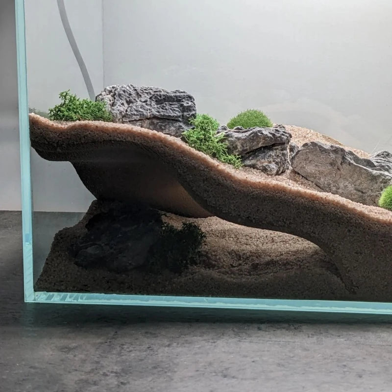 S664672db3ca44335a6163199834c157fp