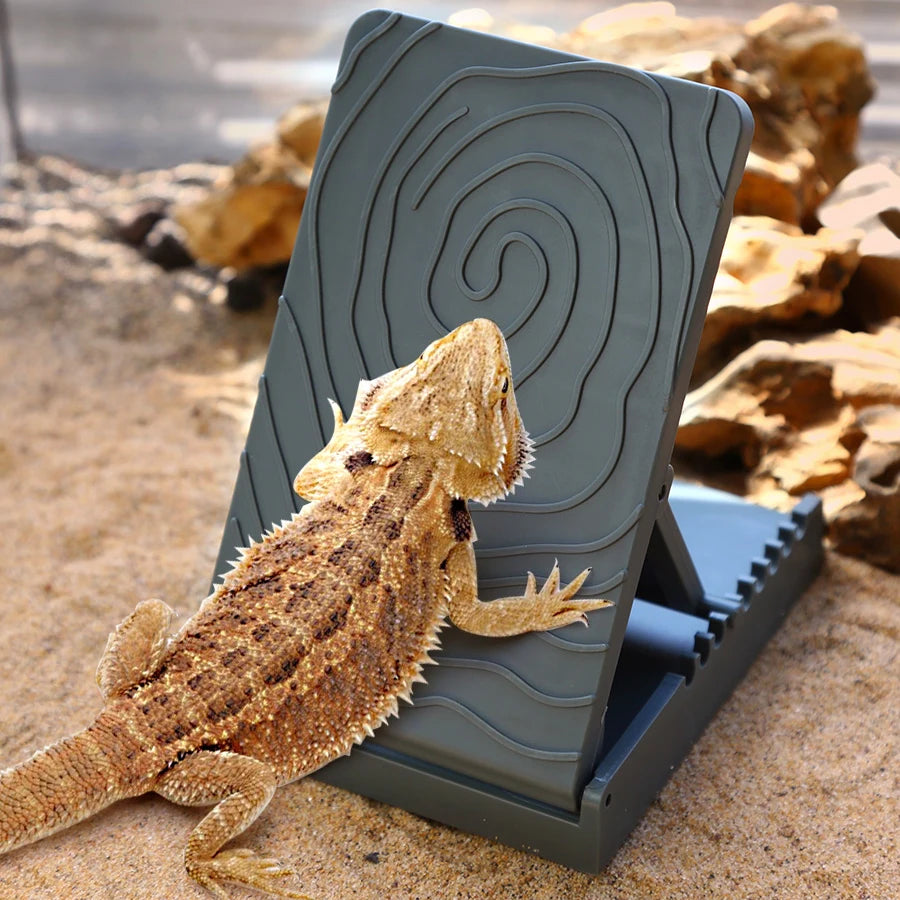 S7a7de5a22167405eba2bf326d67902a18