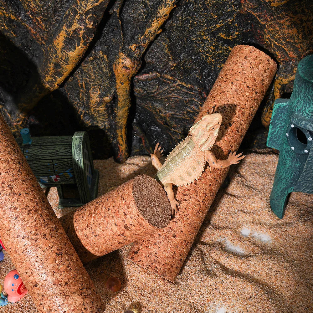 S97401e01211c4b0a95027ba05e5284f7P