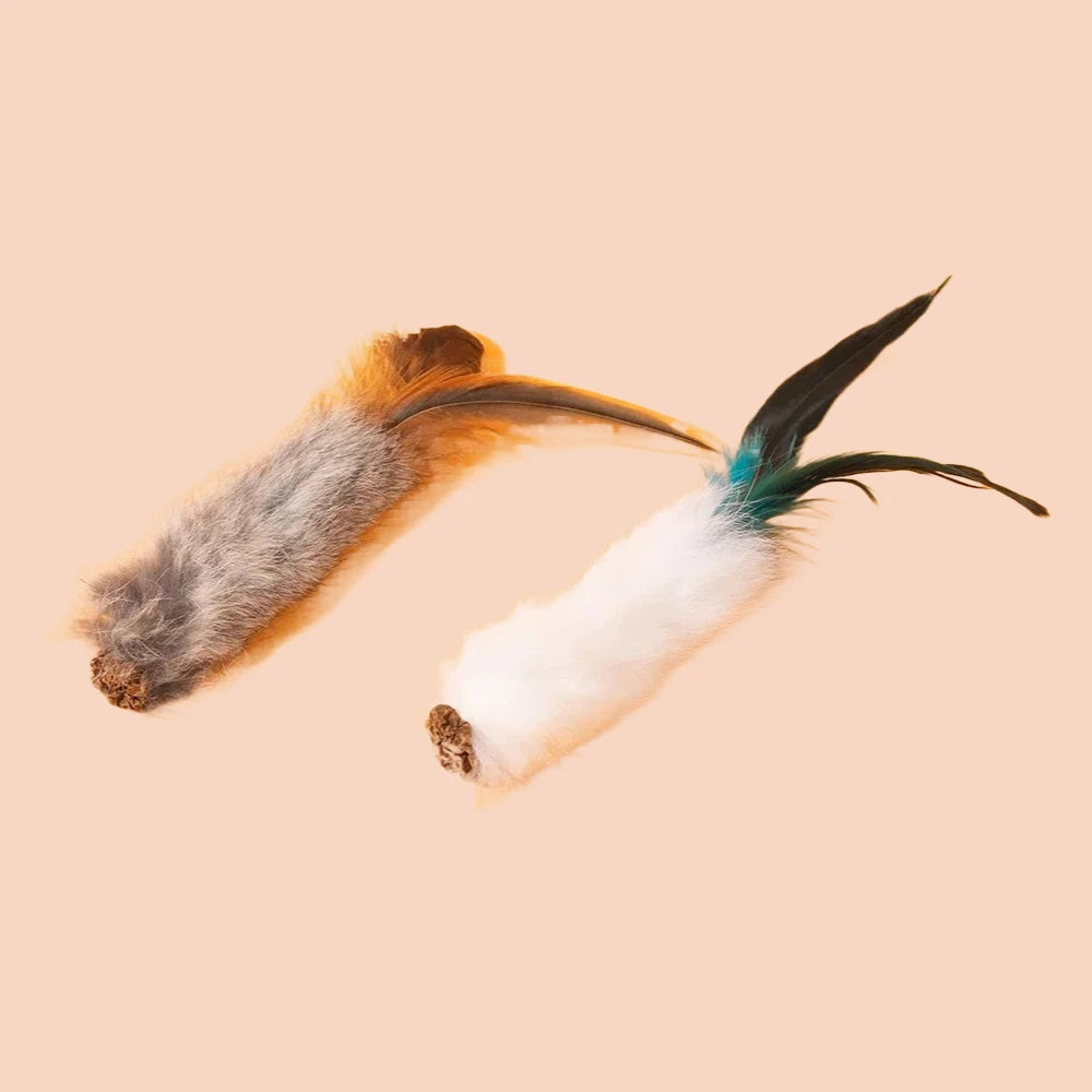 S9806d119358d471fb9eda2fc72dd821ay