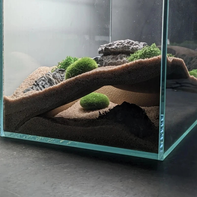 S9e31d385ee2648c2b83c5bccc52b36e1G