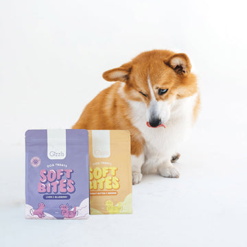 Gizzls | Soft Bites Treat Bundle