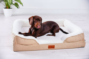 Snug n Woof | Washable Orthopaedic Dog Sofa Bed (XL)